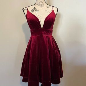 Gorgeous Velvet Dress